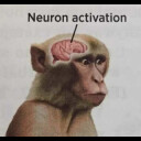:neuronactivation:
