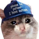 :autism-cat: