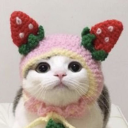 :cute-cat-1:
