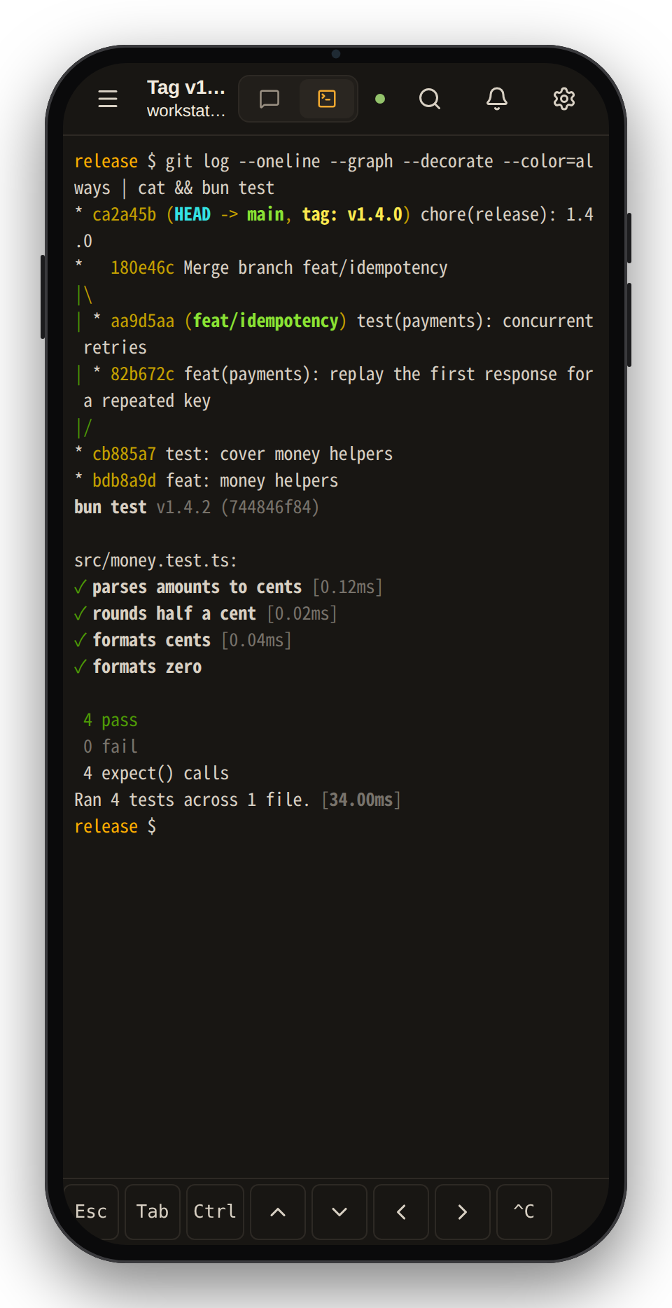 Phone terminal view with the Esc, Tab, Ctrl, arrow and Ctrl+C key bar.