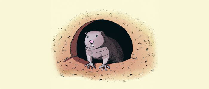 header image for tbm, a picture of a gopher looking out of a tunnel