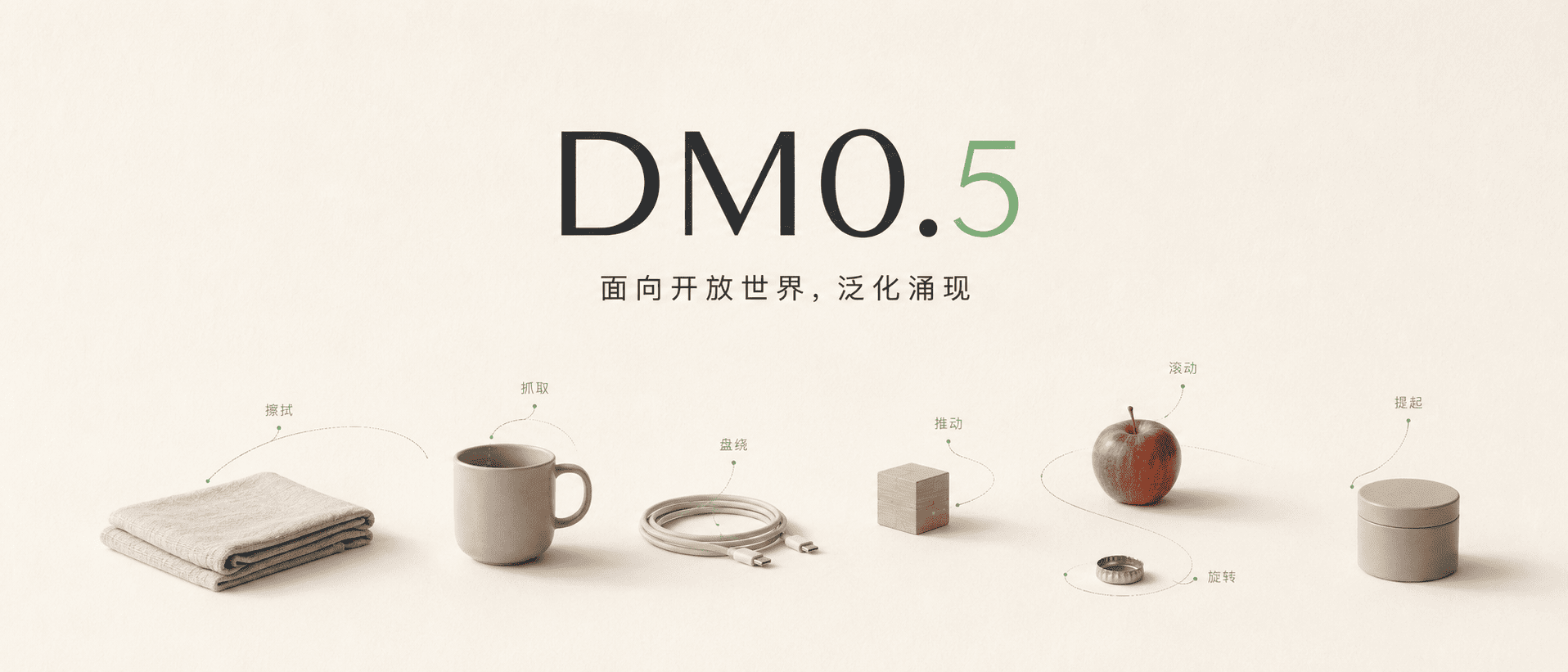 DM0.5