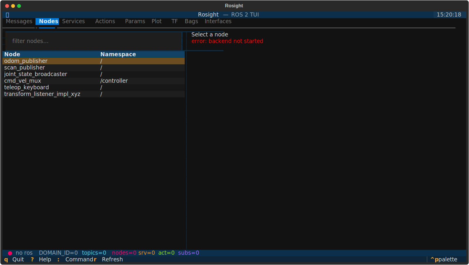 Nodes tab — discovery and pub / sub / service relationships.