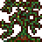 Krazy kudzu
