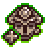 Grand hierophant