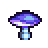 Fungus Culture