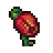 Flower Petals