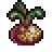 Garden master