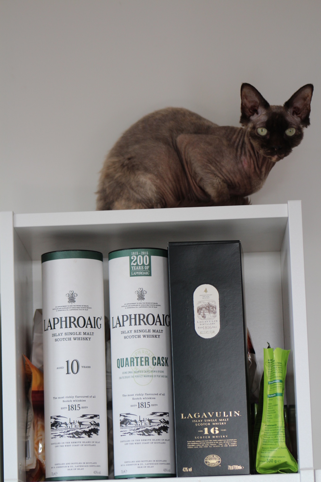 Photo of edwina on top of the whisky