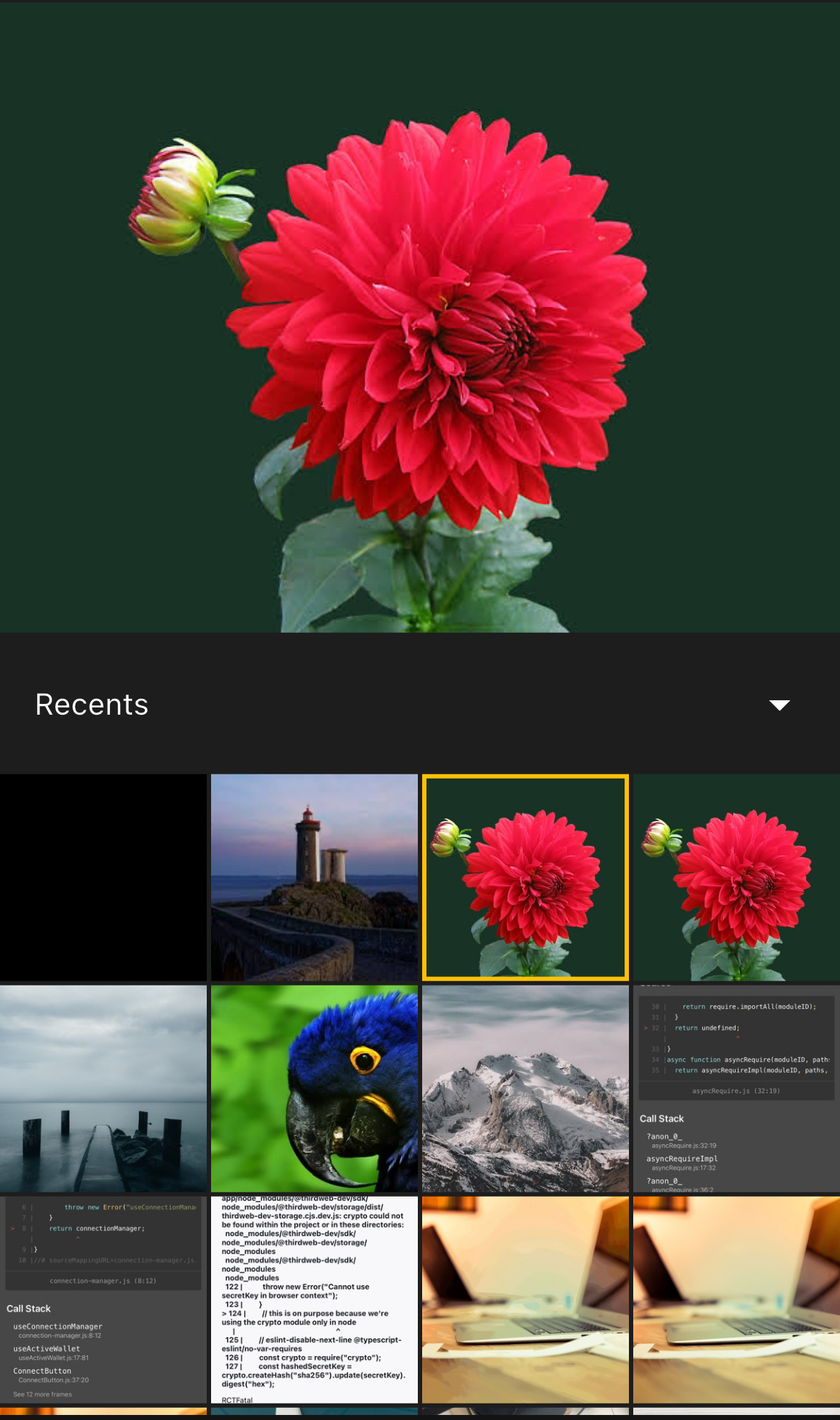 SF Media Picker demo showing preview and grid