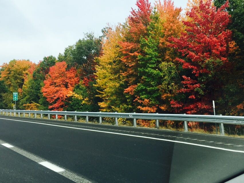 The magical fall colours