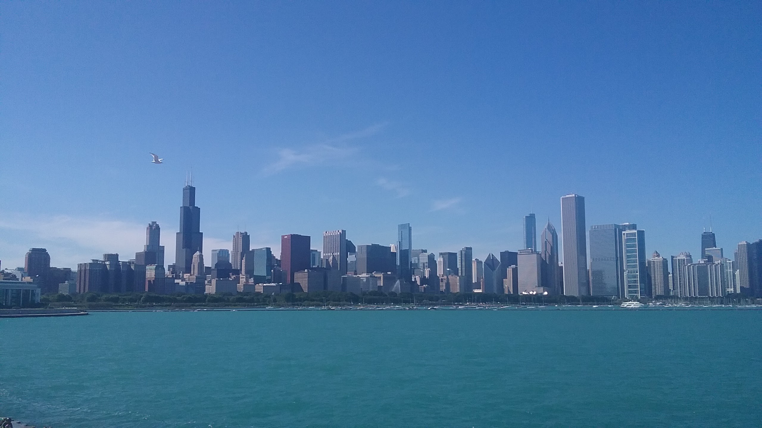 Chicago Skyline