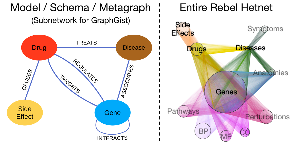 GraphGist data model and entire Rebel hetnet visualization