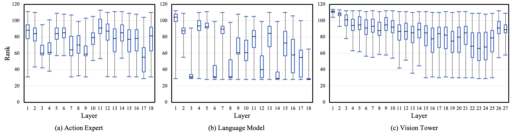Rank distribution per layer