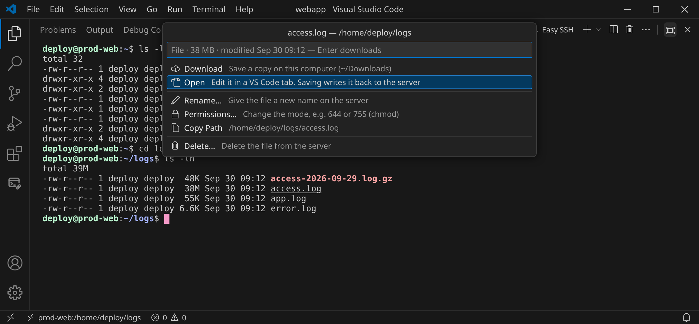 The action menu for the text file access.log: Download, Open, Rename, Delete