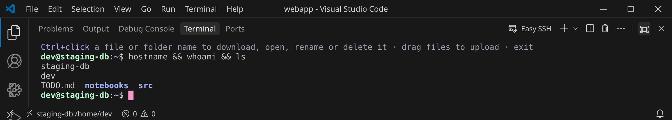 A shell on staging-db, reached through a jump host