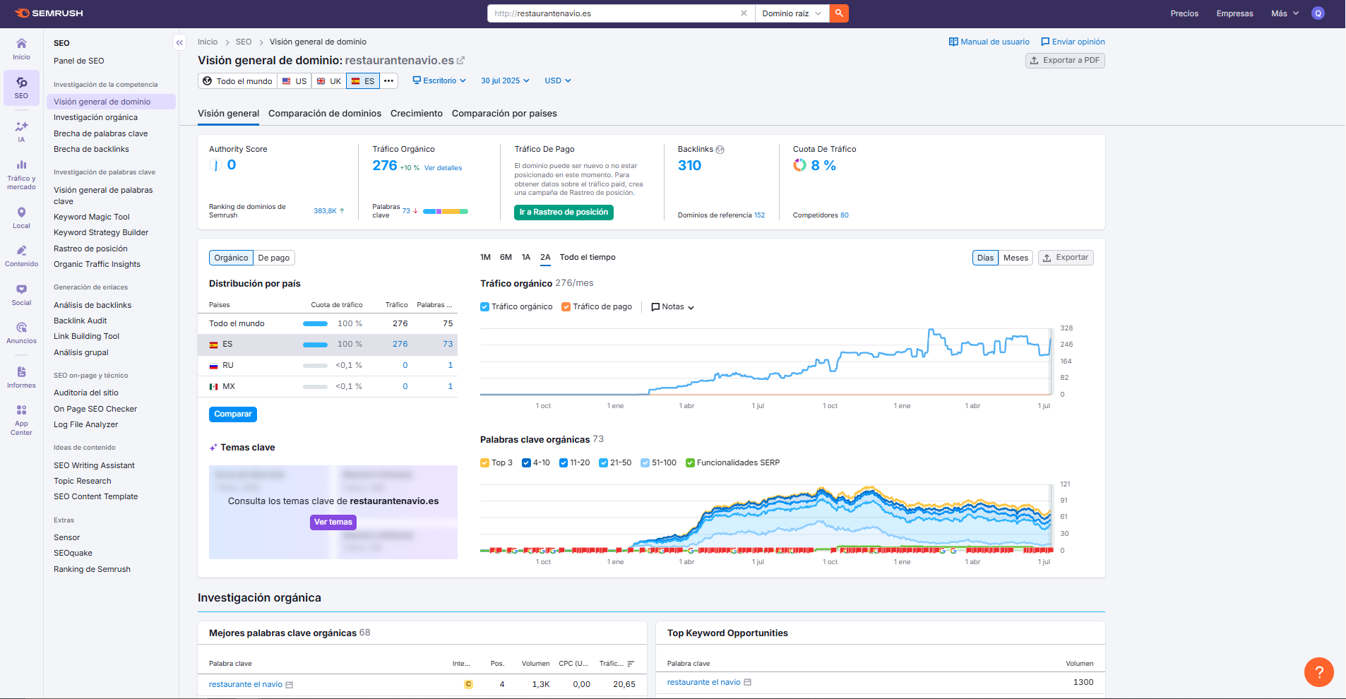 SEO Work Example 1