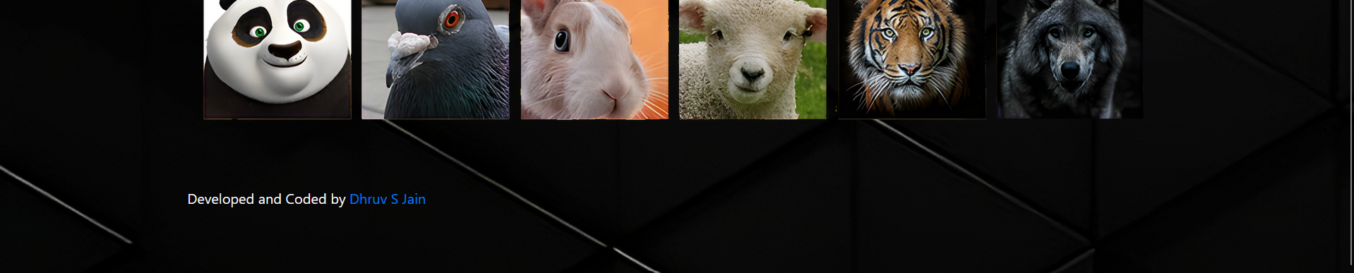 GitHub - dhruvj014/Animal-Identifier-WebApp