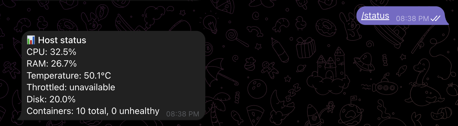 The Rasptele status command showing CPU, RAM, temperature, disk usage, and Docker container health