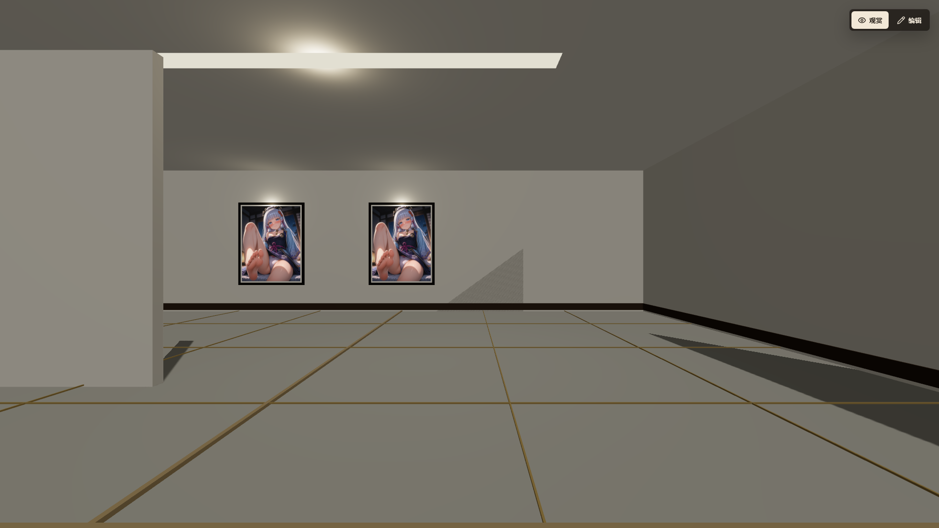 观赏模式中的 3D 画廊