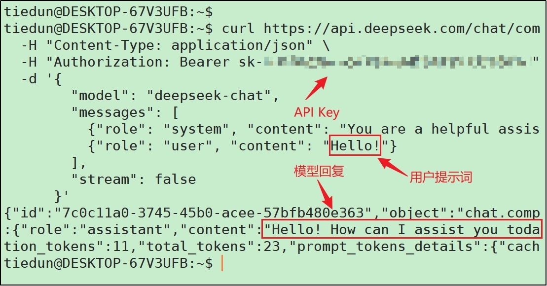 使用 curl 调用 DeepSeek API 的命令行日志示意图