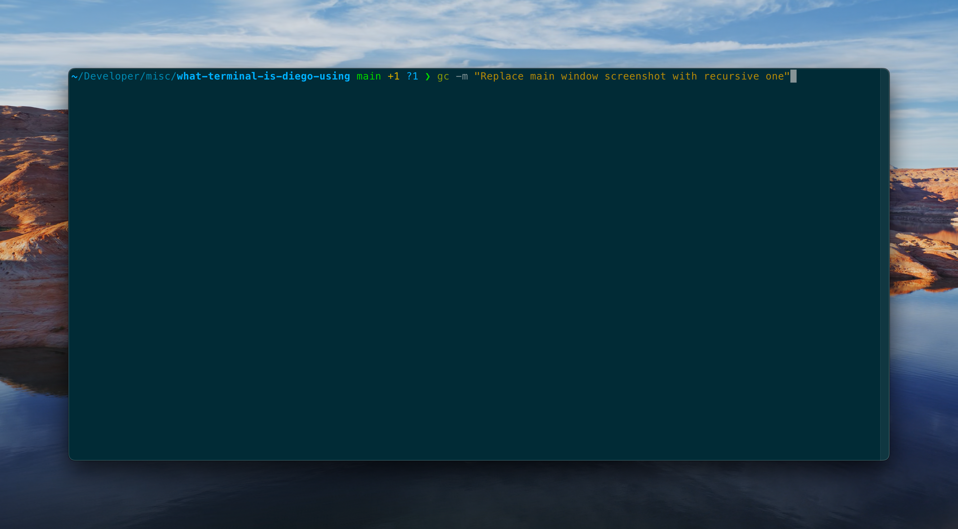 How my terminal looks