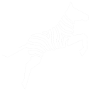 Zoo Code