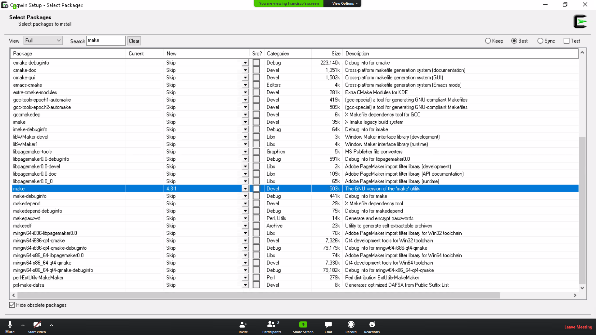 Make install with cygwin