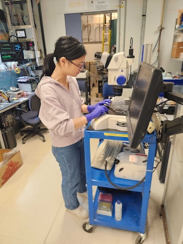 Katie at the microscope