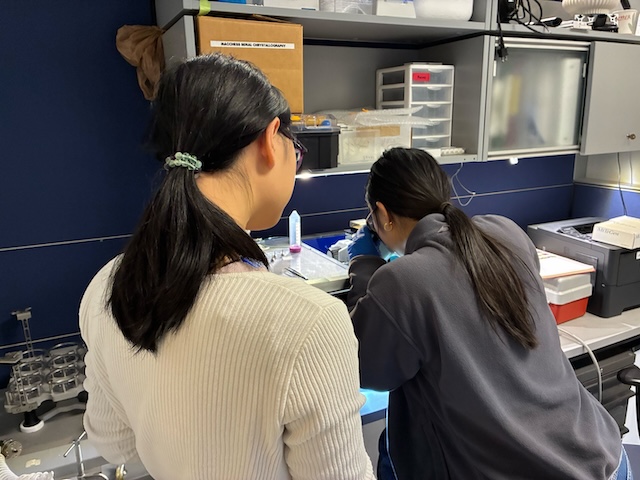 katie and sarah looping