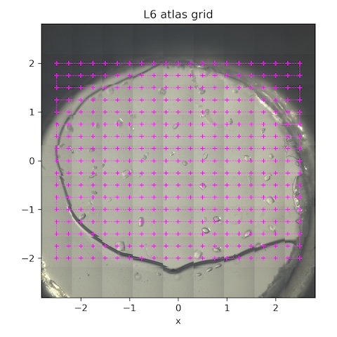 L6_atlas_grid