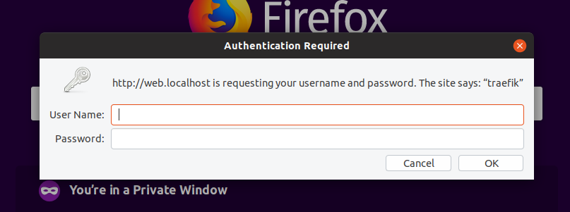 basic-auth