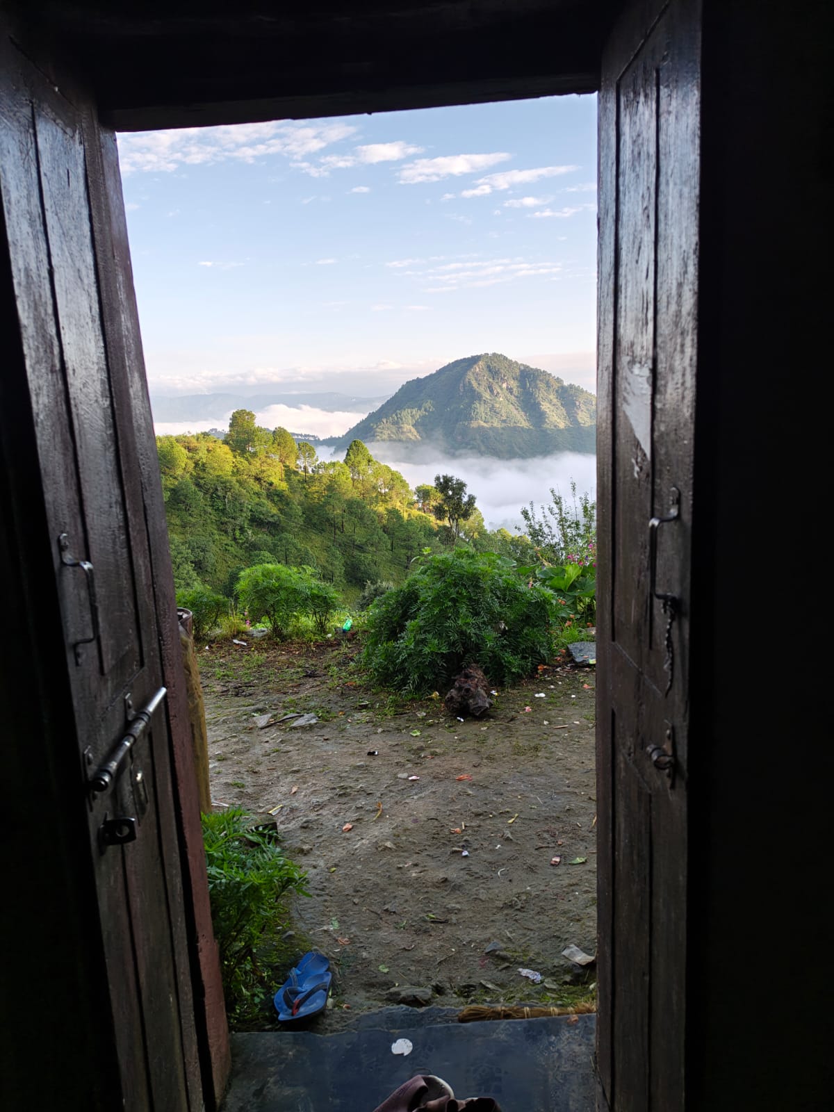 Amazing View from Room