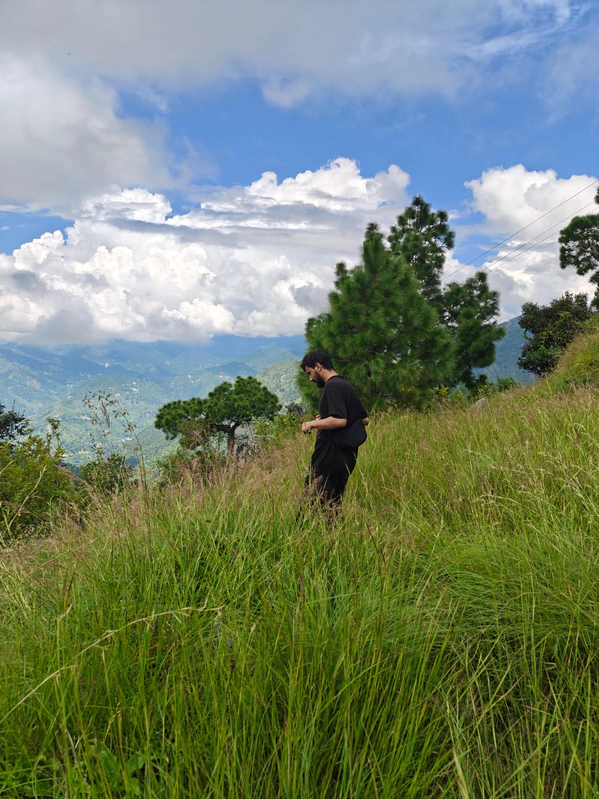 Dimri in Hills