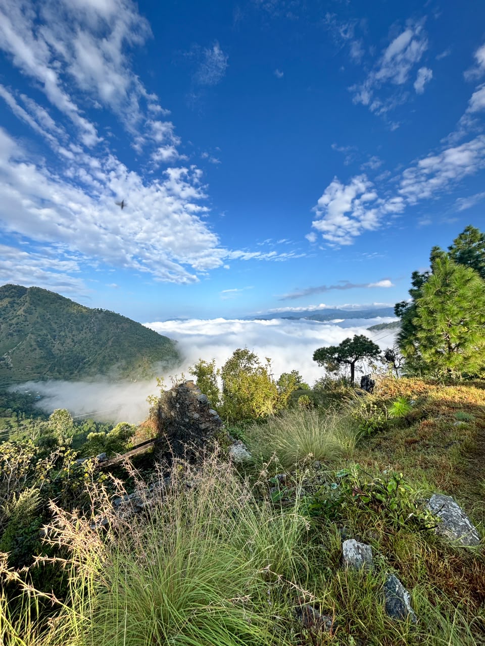 Above The Clouds