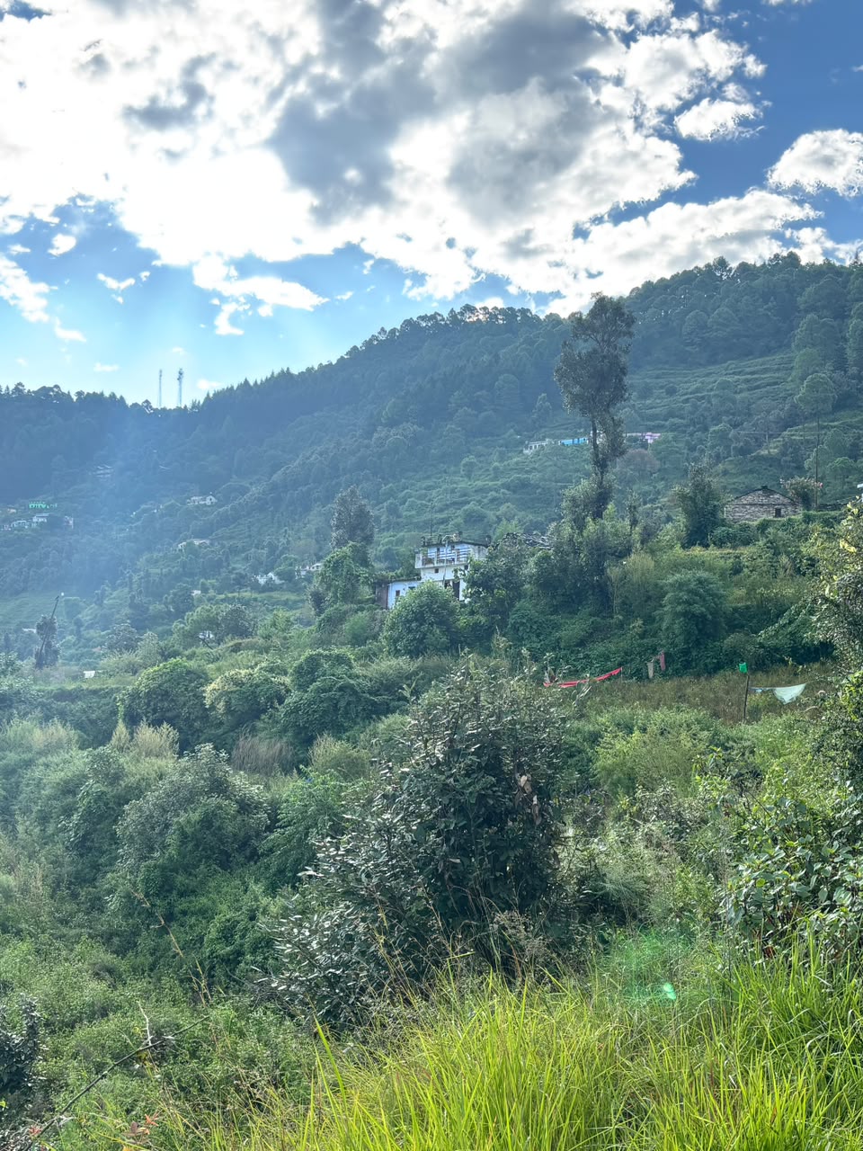 Hillside Village