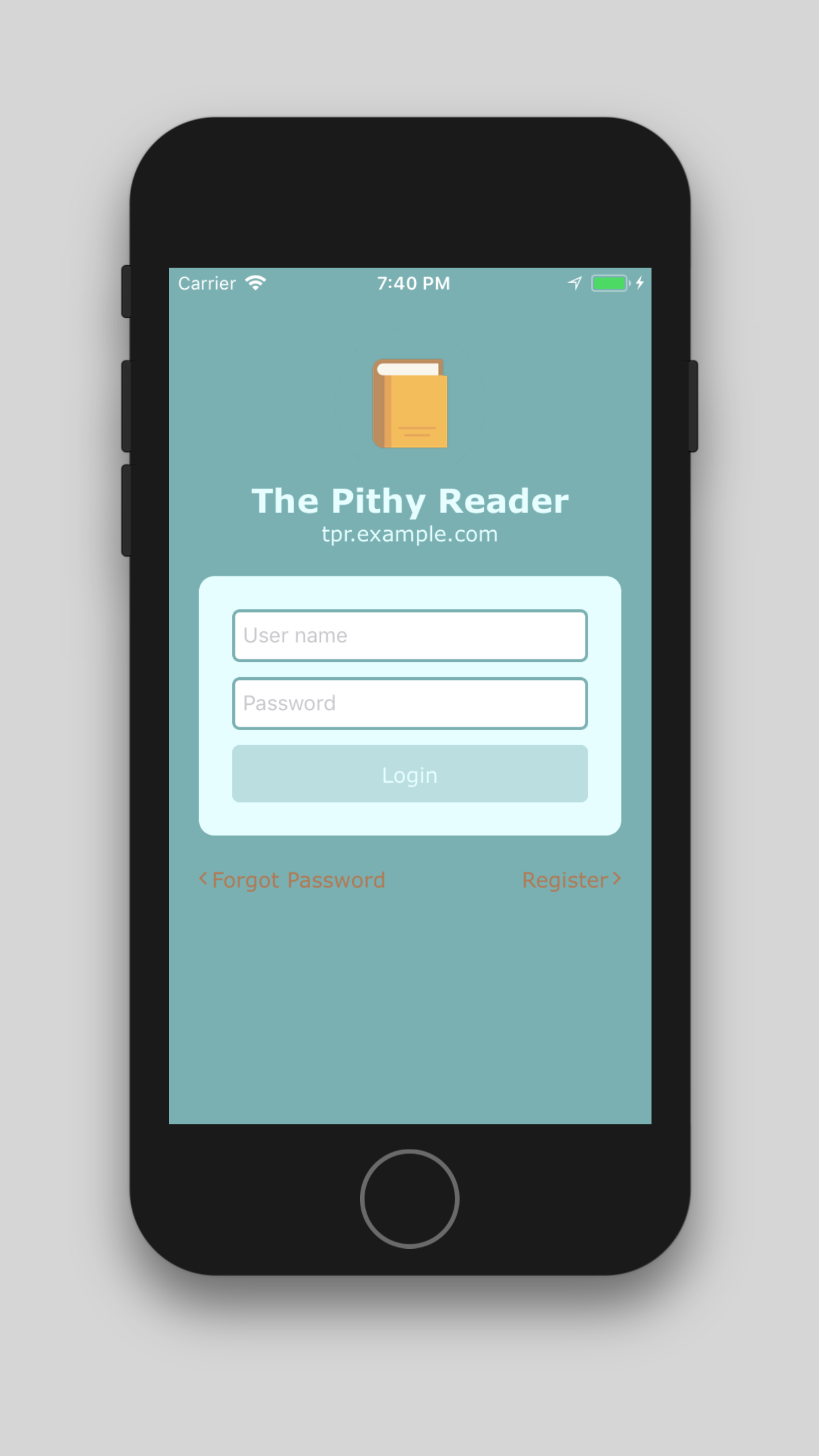 The Pithy Reader