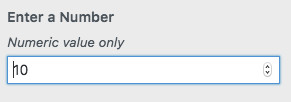 WordPress Customizer Number