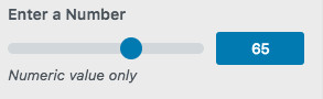 WordPress Customizer Number Range