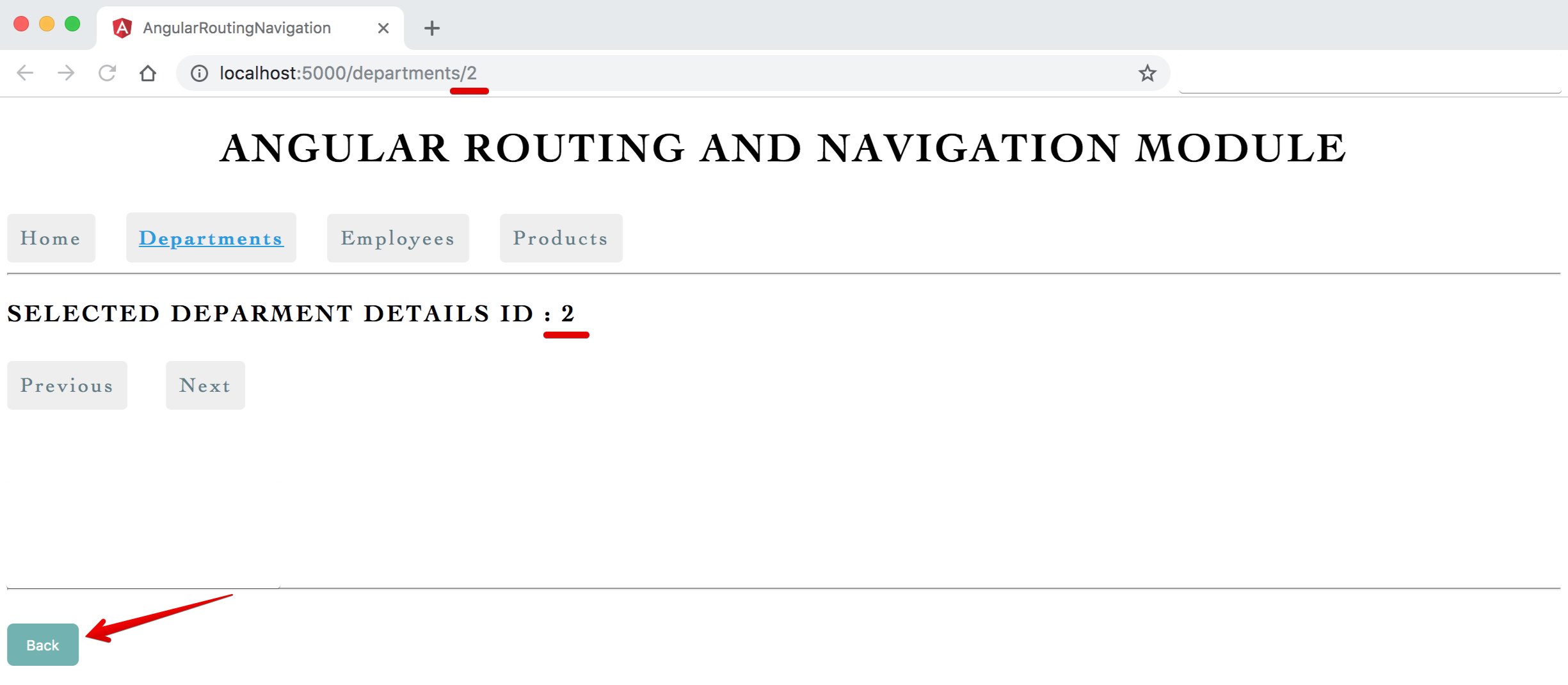 Image - Output - Optional Route Parameters Back