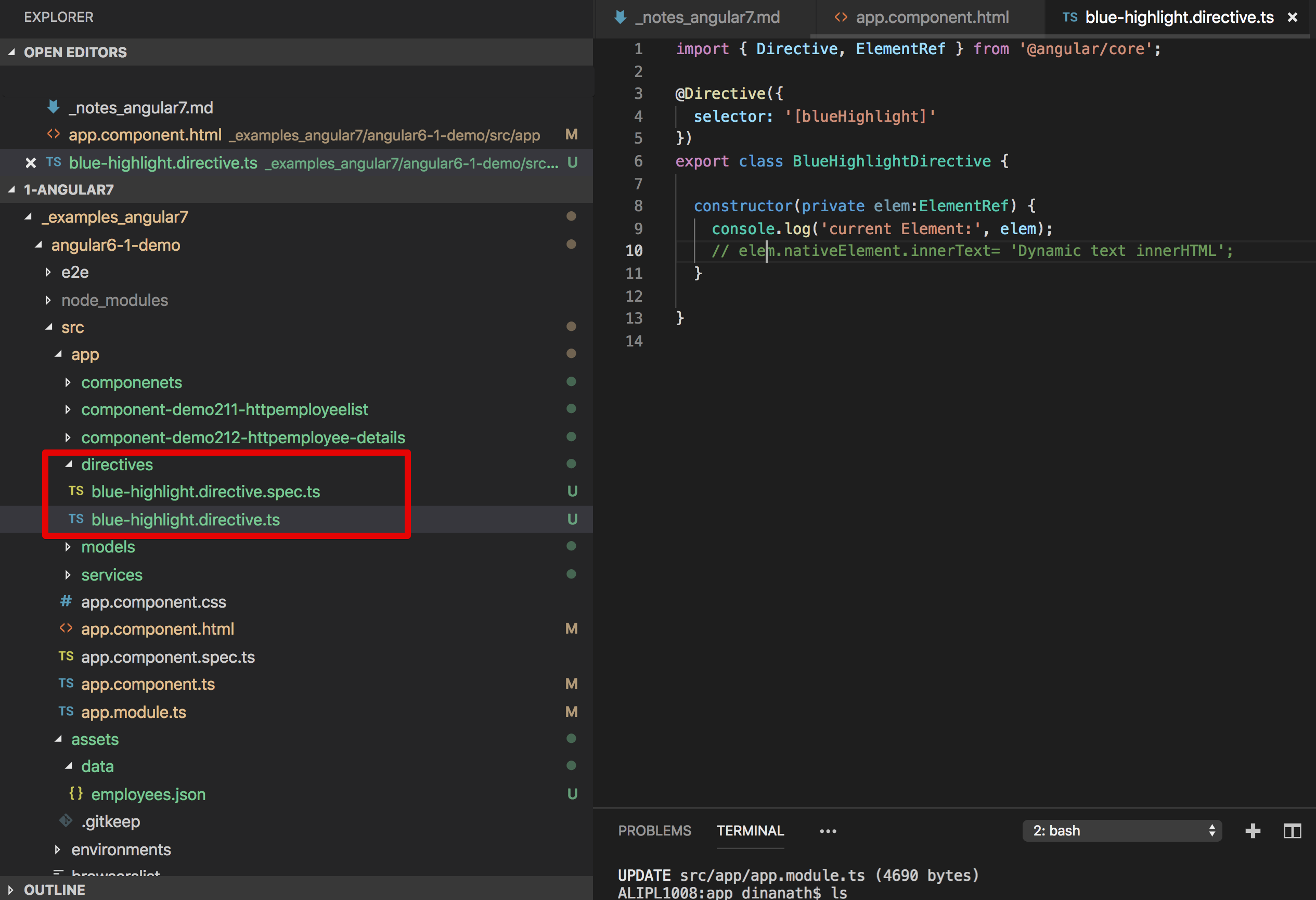 Image - Output - custom-directives folder structure