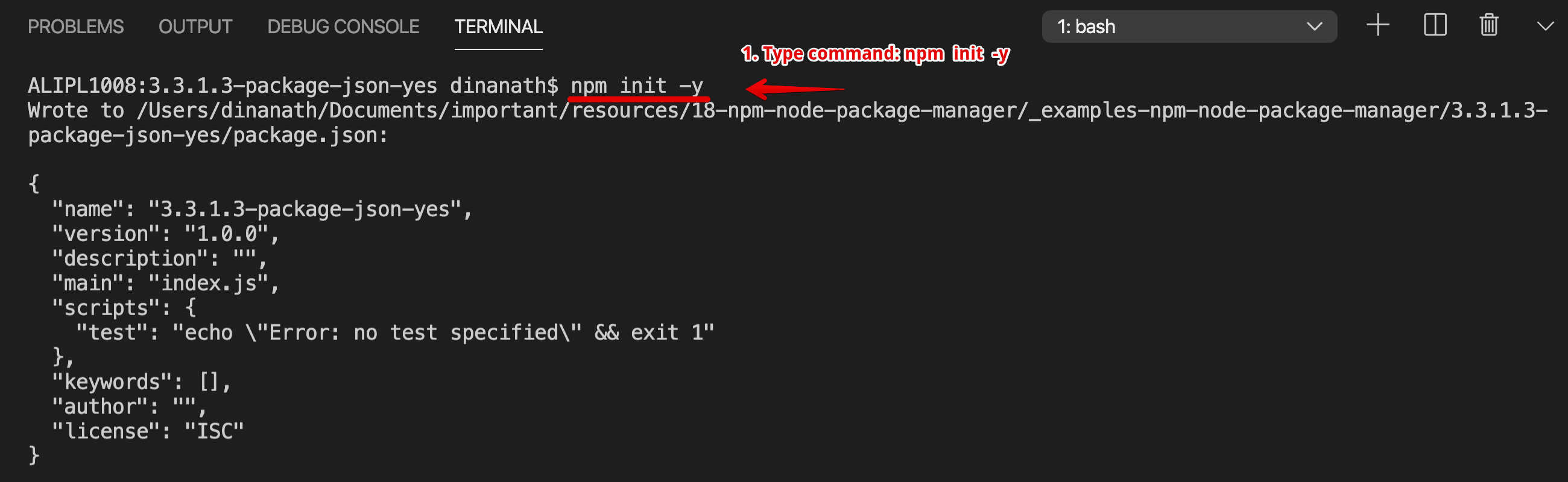 Package.json with npm init -y