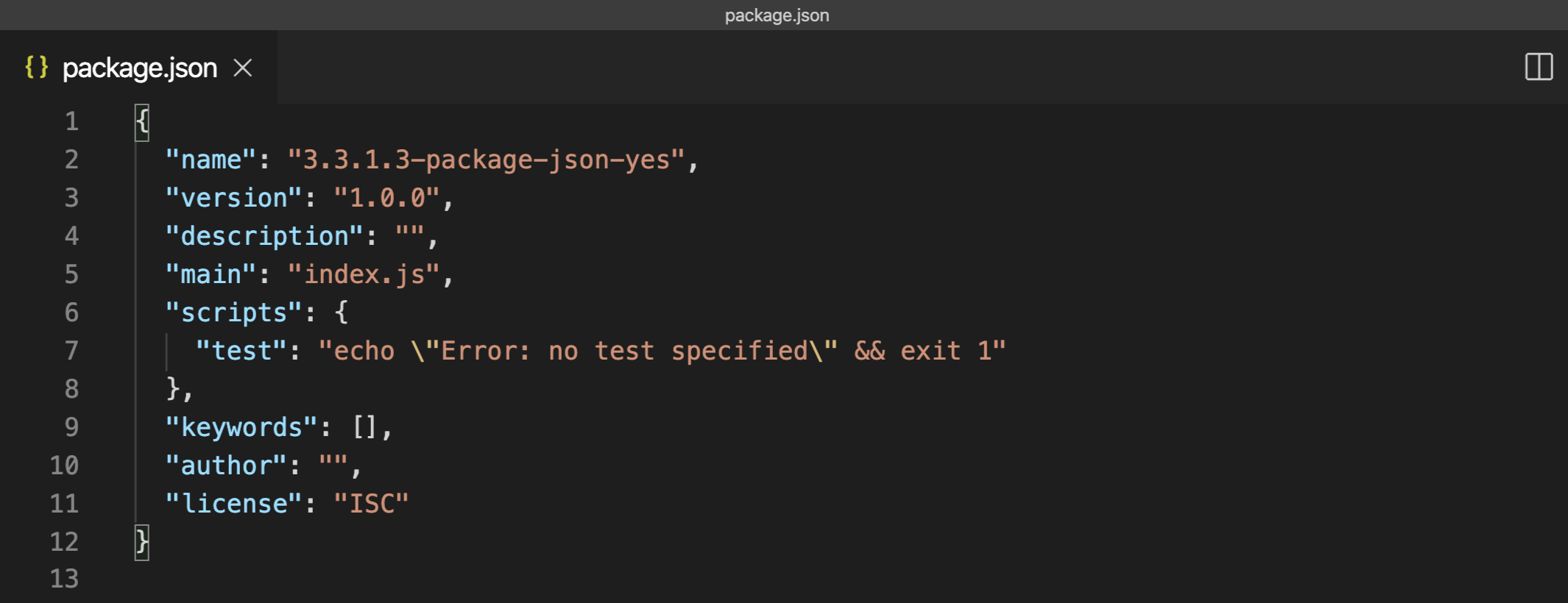 Package.json with -y flag