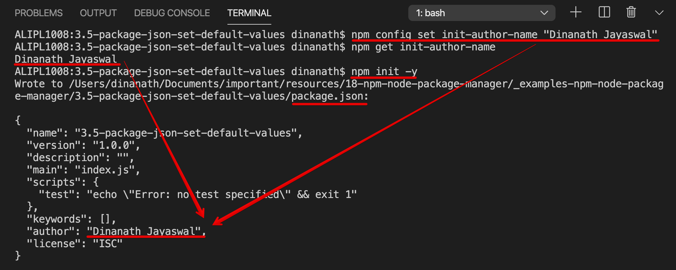 Package.json with default values set