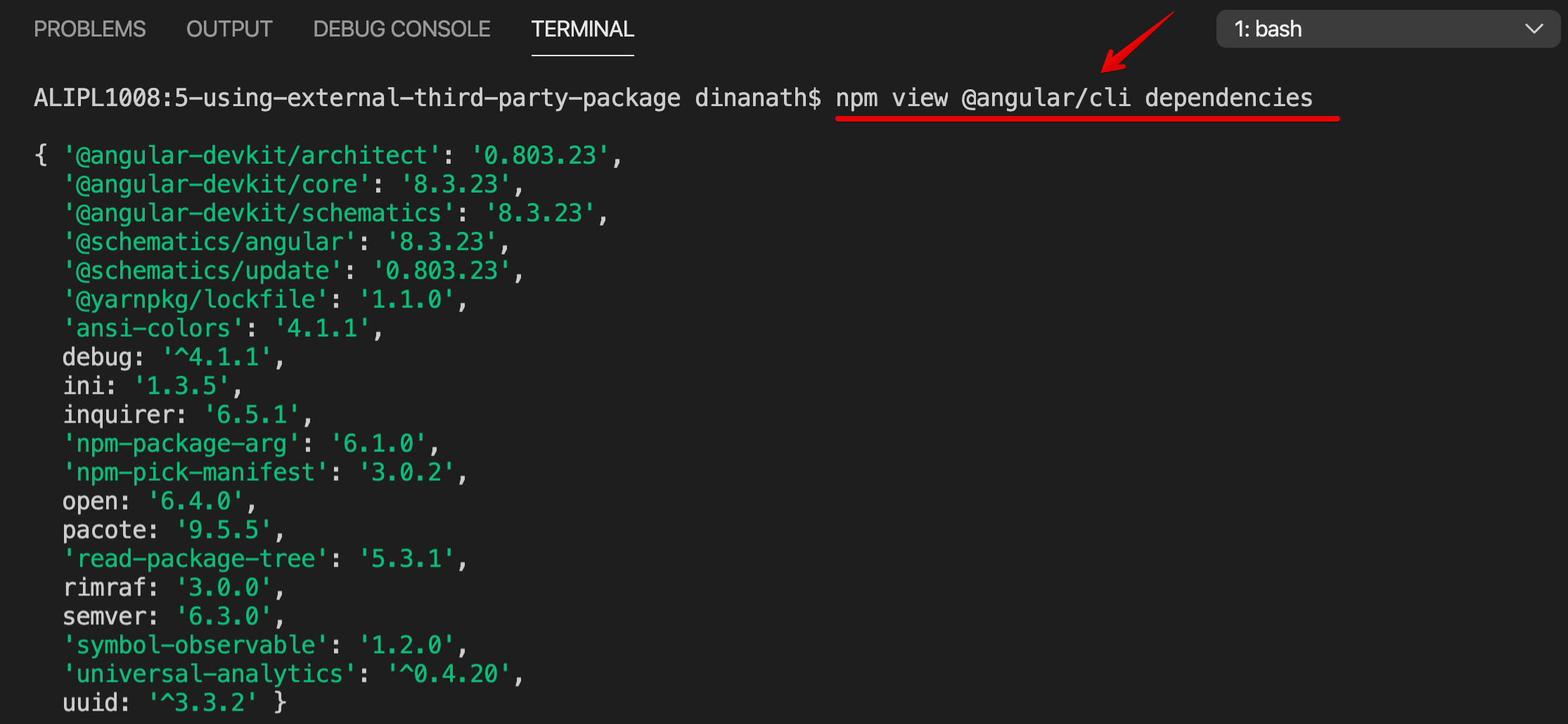 Package Metadata Dependencies Details Info