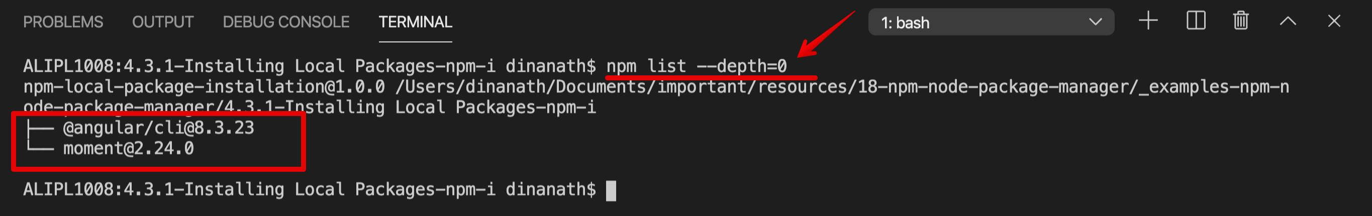 NPM List Depth 0 : npm list --depth=0