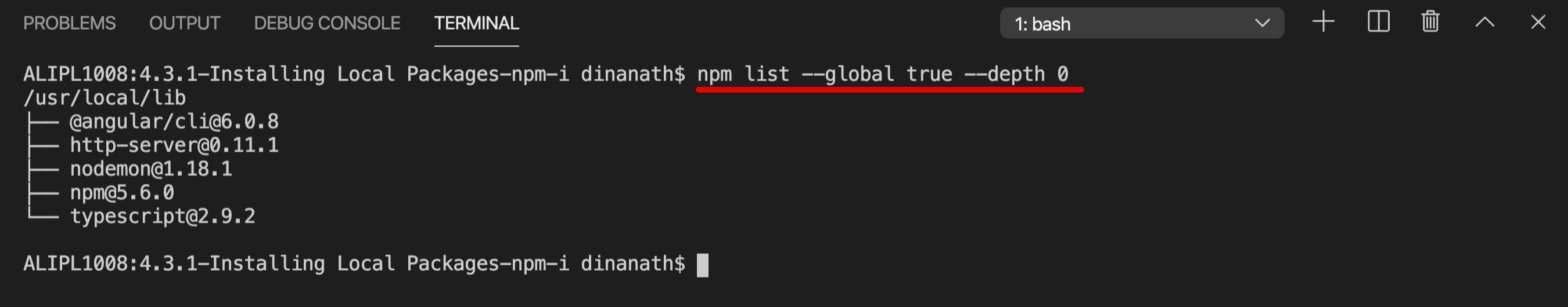 NPM List Depth 0 : npm list --global true --depth 0