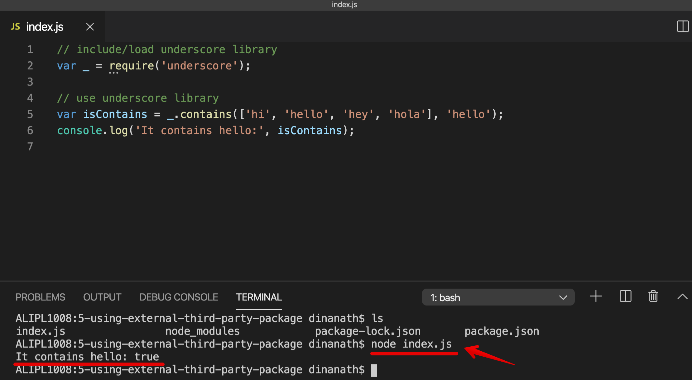 Using a Extermal Third Party Package: Node Output