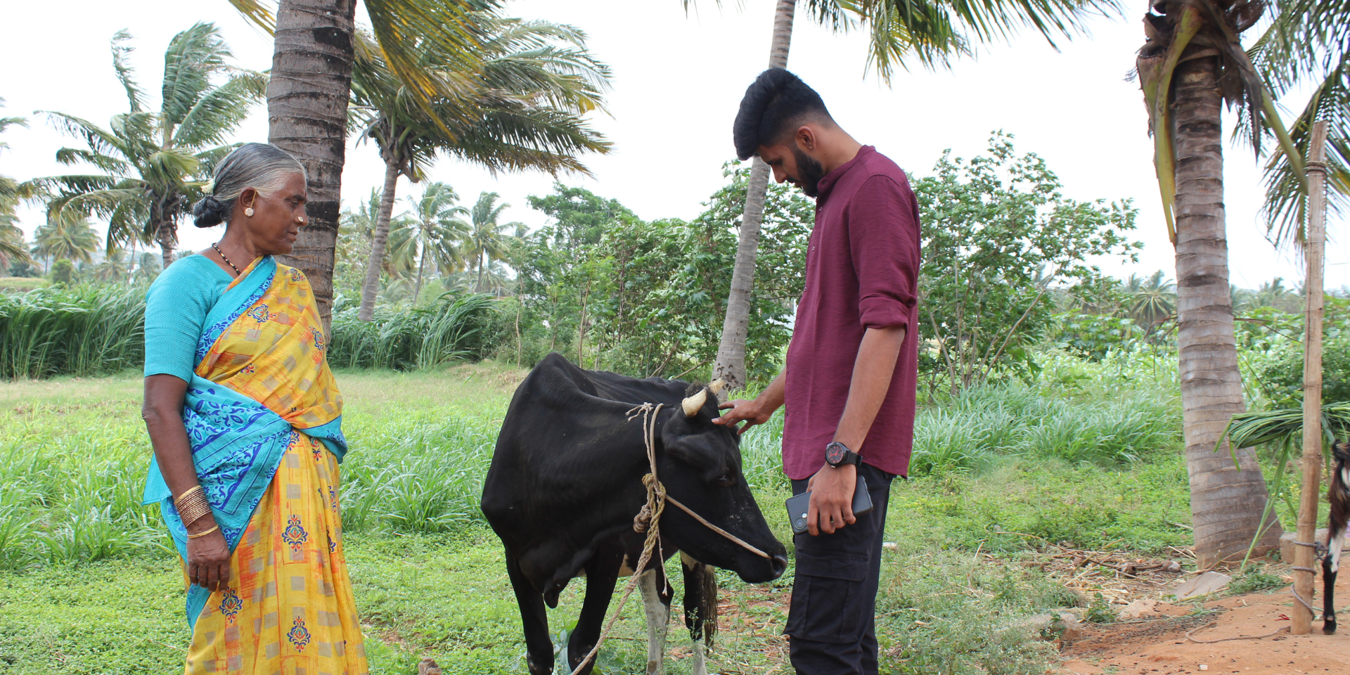 Fresh milk being packed at the Farmer's Dairy farm