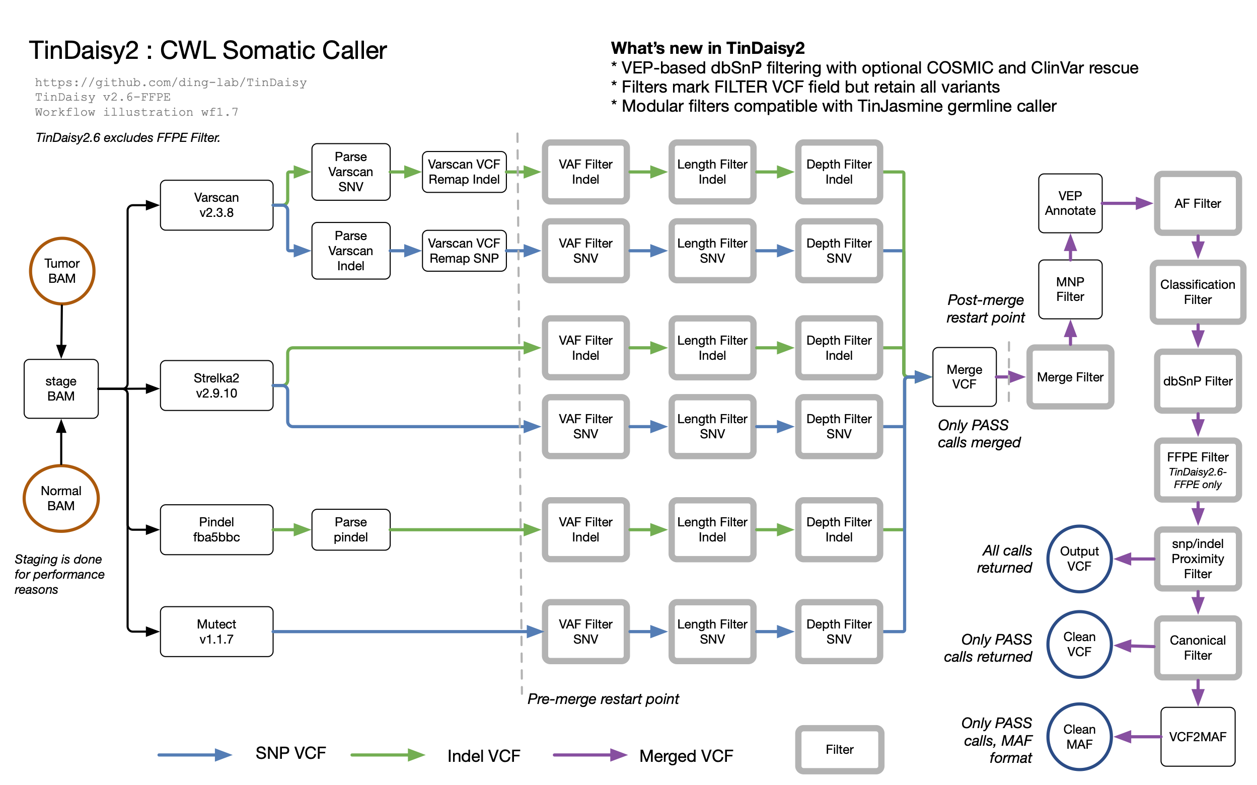 TinDaisy Workflow illustration